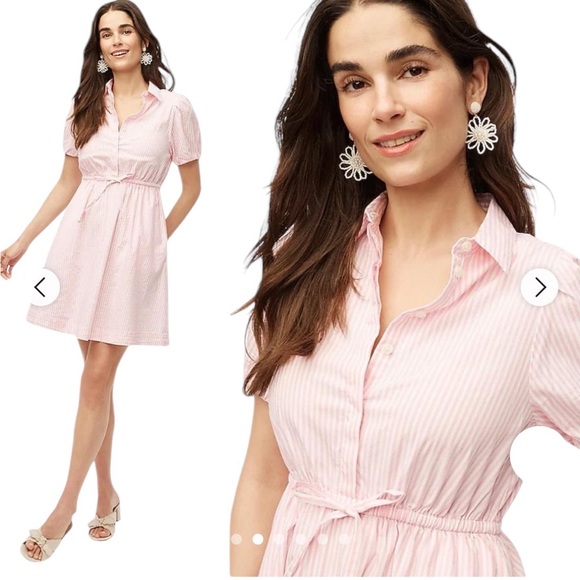 J. Crew NWT Short Sleeved Collared Mini Dress Pink and White Size 18 - Picture 4 of 10
